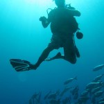Rowley Shoals diver and school of fish